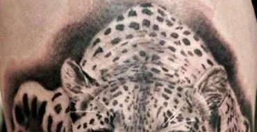 Meaning of leopard tattoo Snow leopard tattoo on chest