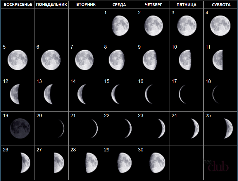 19 апреля какая луна. Лунный денежный месяц. Какая Луна была когда родилась. Луна какая 18. Даки какая Луна.