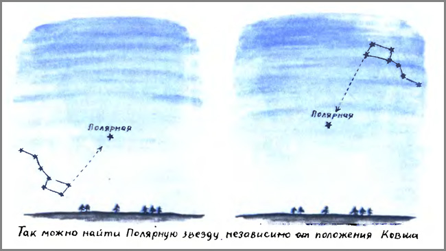 Большая медведица осенью зимой весной летом картинки